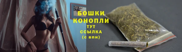 прущие грибы Балахна