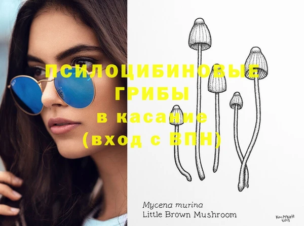 прущие грибы Балахна