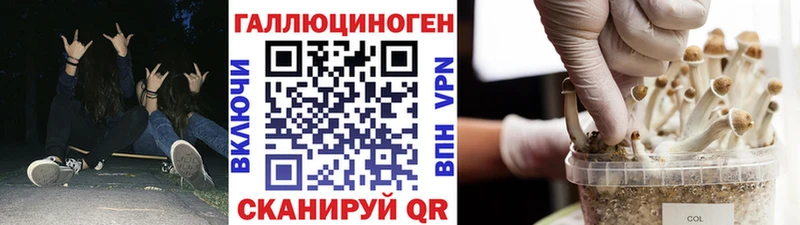 Псилоцибиновые грибы Magic Shrooms  где купить наркоту  Шагонар 